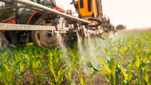 Best Pest Control for Businesses  in Stottville, NY